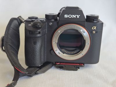 Sony ILCE-9