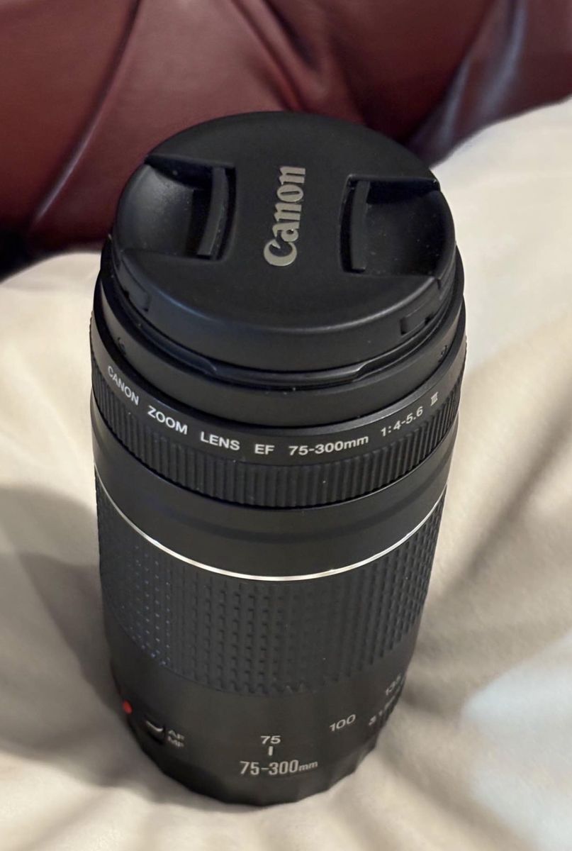 Canon ef 75-300 iii, and 10-18mm wide angle