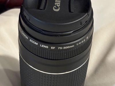 Canon ef 75-300 iii, and 10-18mm wide angle