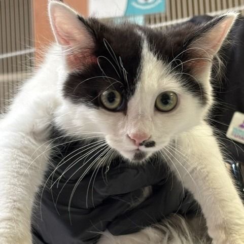 Hello my name is Tad