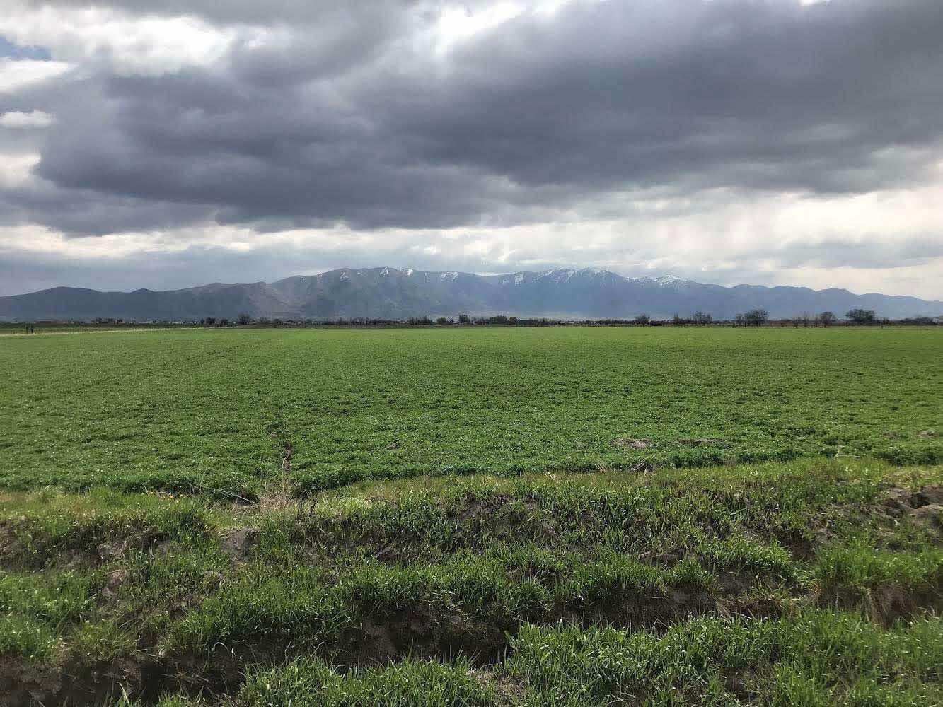 Land for sale.