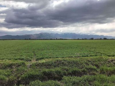 Land for sale.