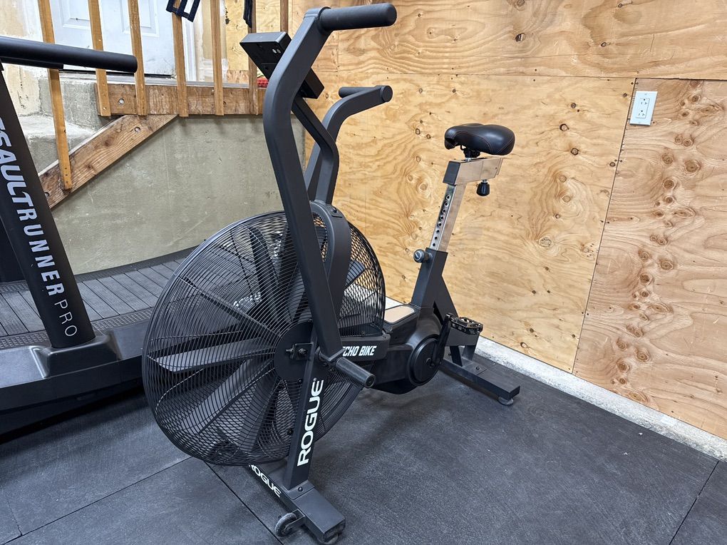 Rogue Echo Bike