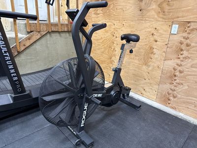 Rogue Echo Bike