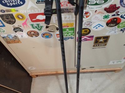 Scott Ski Poles S2 125 cm / 50 inch Black Alpine Downhill