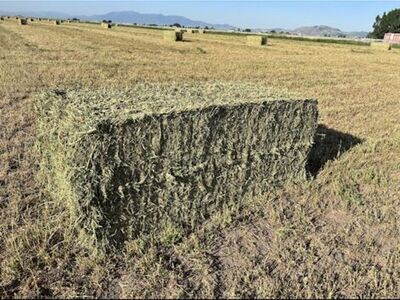 3x3 Alfalfa Hay Bales 2nd Crop