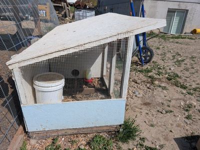 Small animal hutch