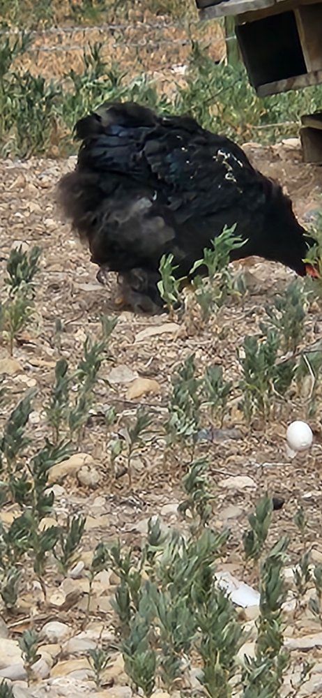 Main image 3