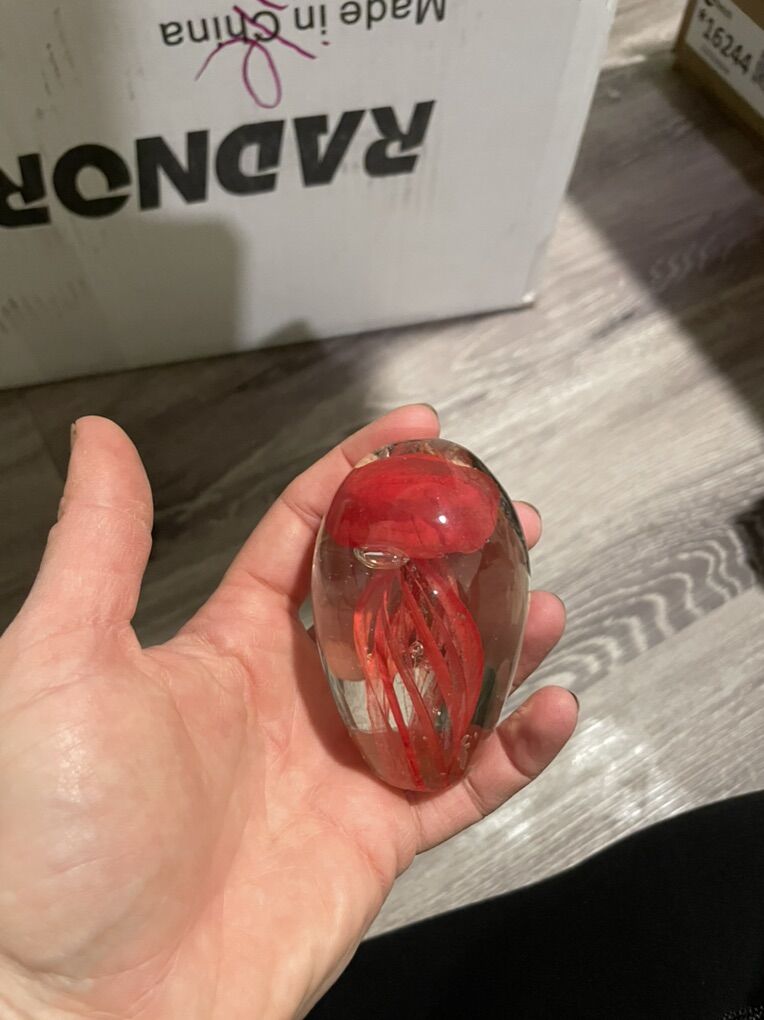 Small Jelly Fish Blown Glass