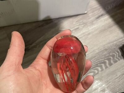 Small Jelly Fish Blown Glass
