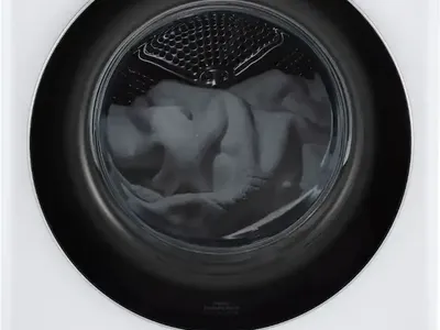 LG Electric Dryer