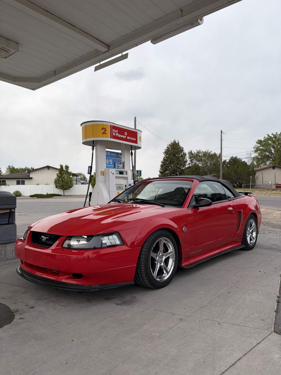 99-04 Mustang Part out