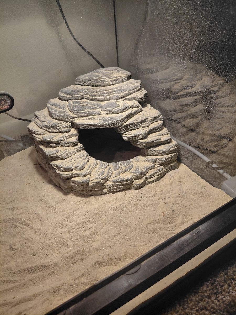 Main image 4