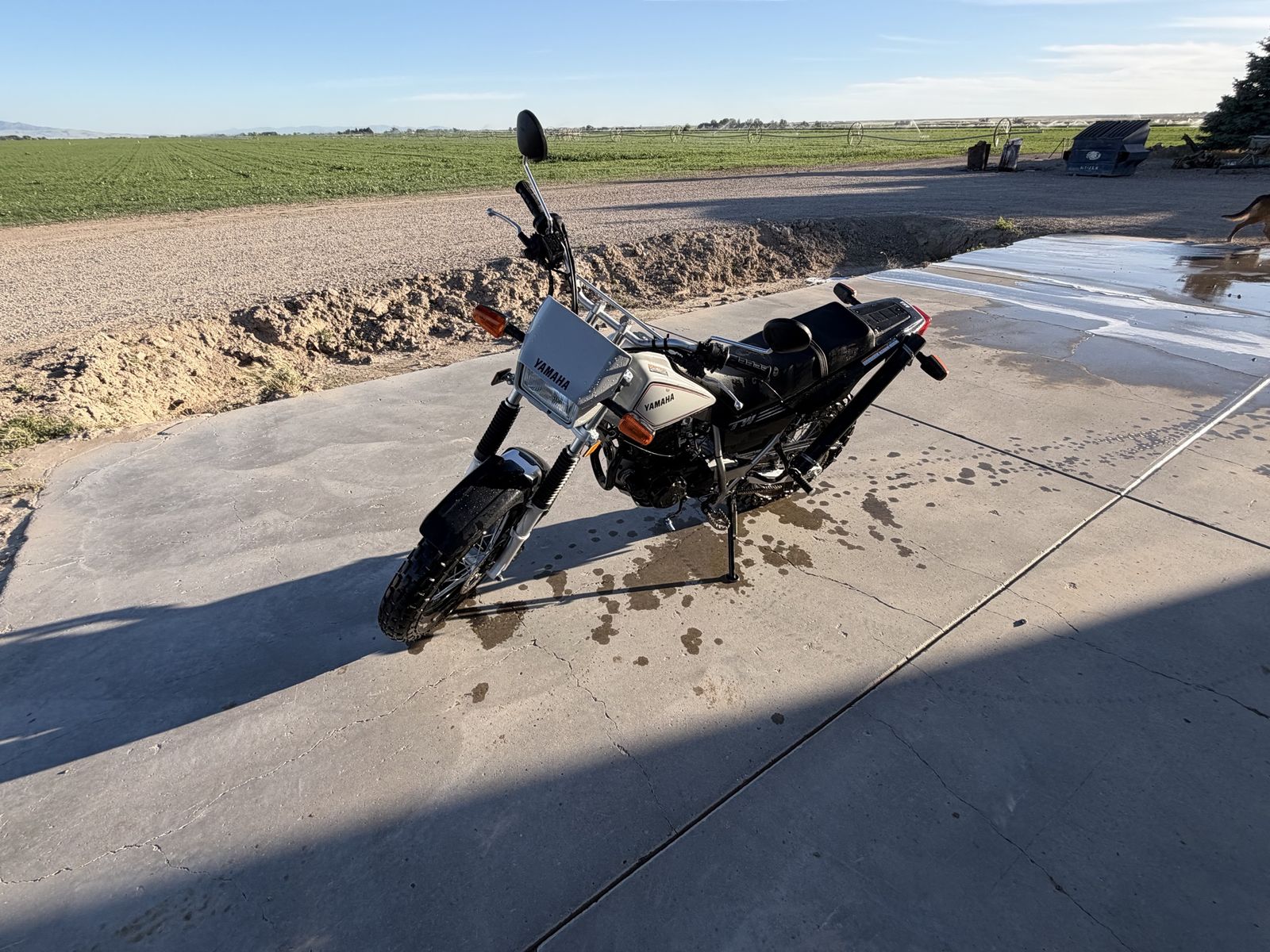 2024 Yamaha Tw 200