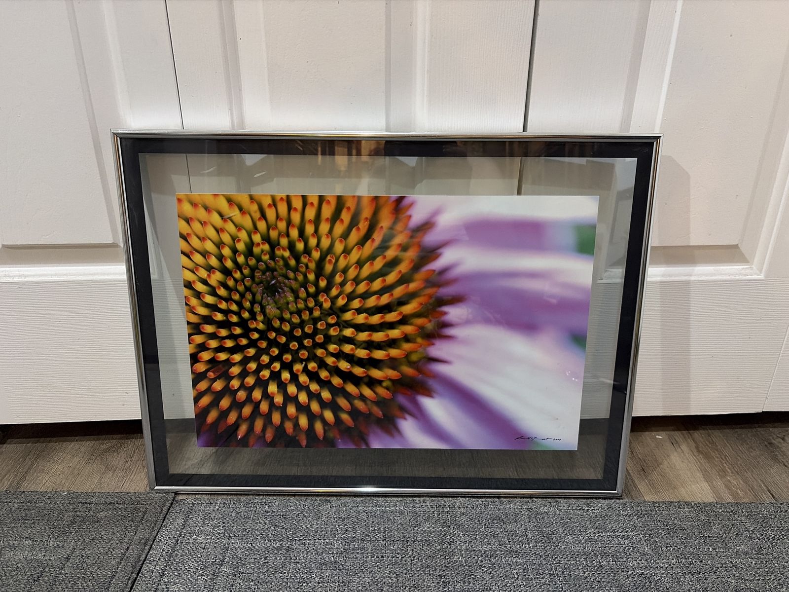 High End Floral Wall Art, Framed Macro Photography Print, Purple Coneflower