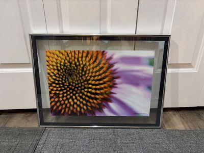 High End Floral Wall Art, Framed Macro Photography Print, Purple Coneflower