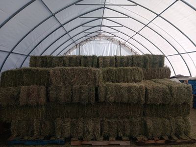 Hay, Grass Alfalfa mix
