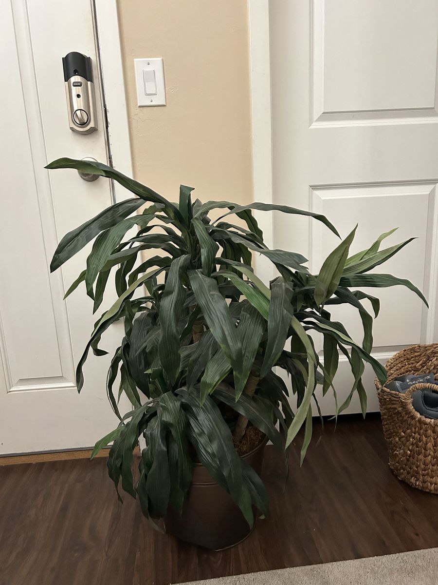Faux plant in copper/bronze colored pot