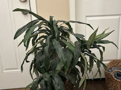 Faux plant in copper/bronze colored pot