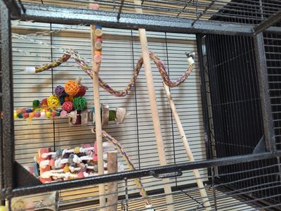 Bird Cage on stand with wheels and extras.