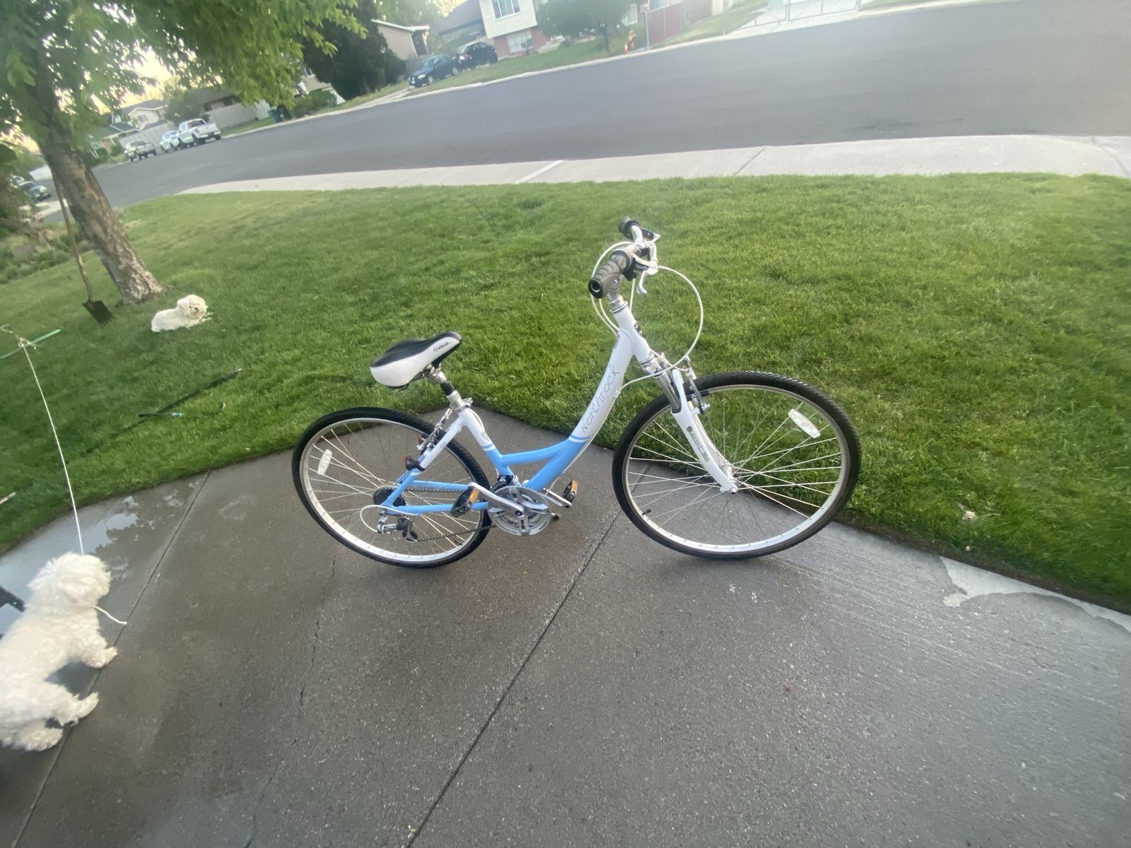 Woman’s bike