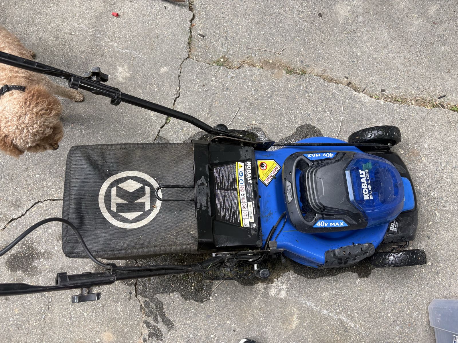 Electric Lawn Mower cleaned up and works great