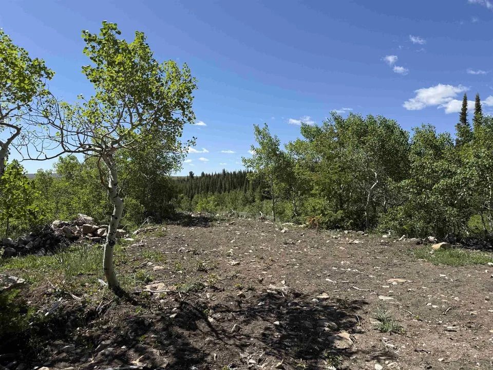 Main image 14