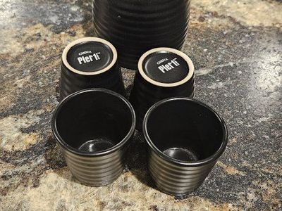 Pier 1 Sake Set
