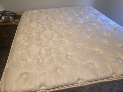 Queen Sealy Posturepedic Mattress