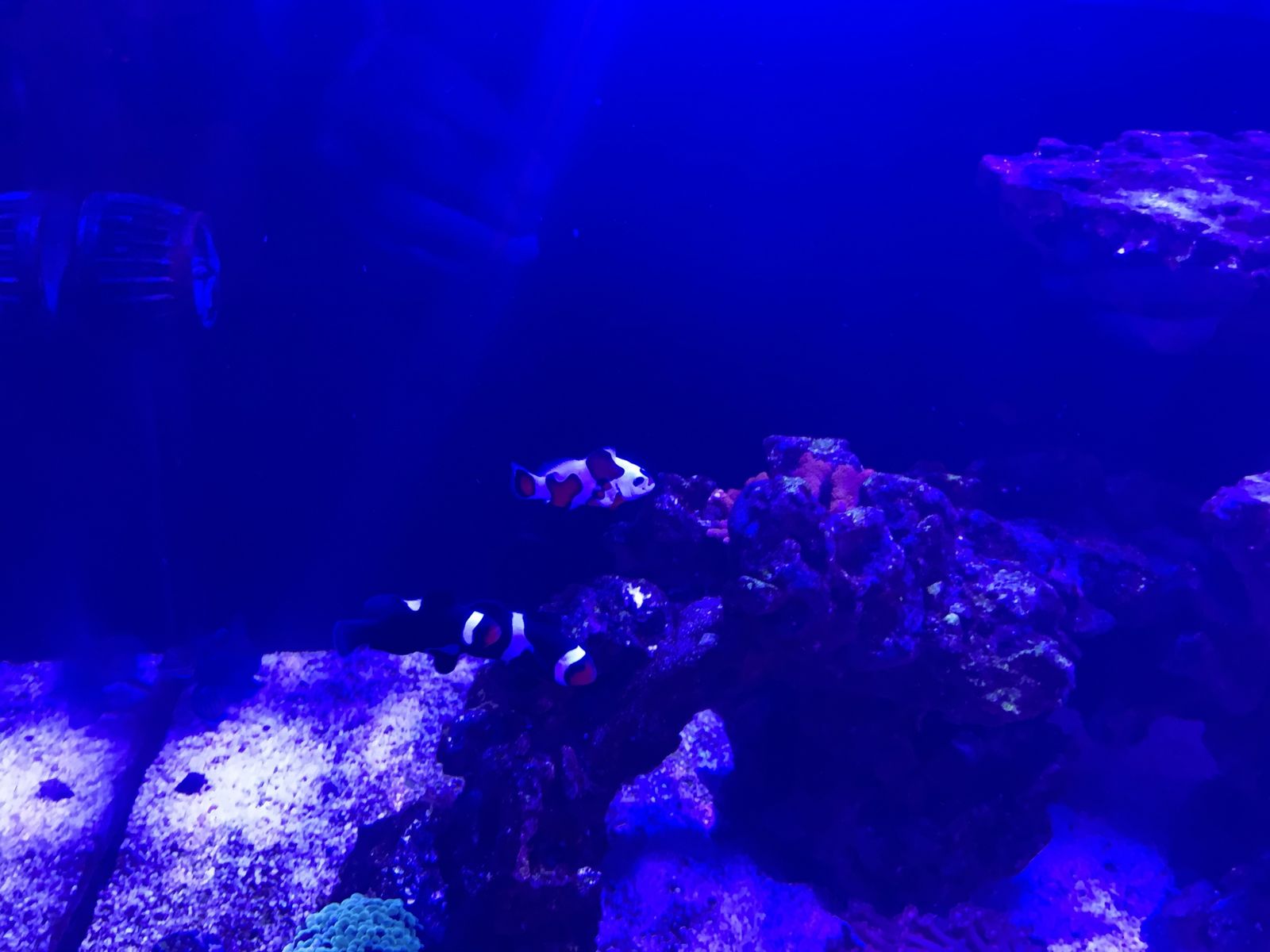 Main image 5