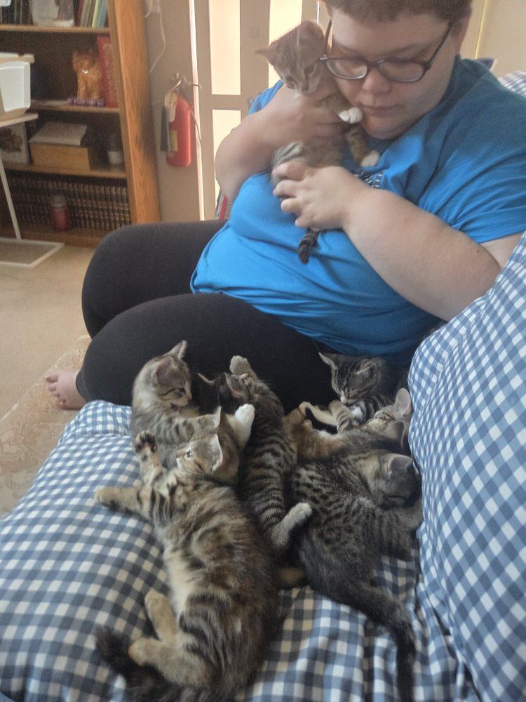 Kittens