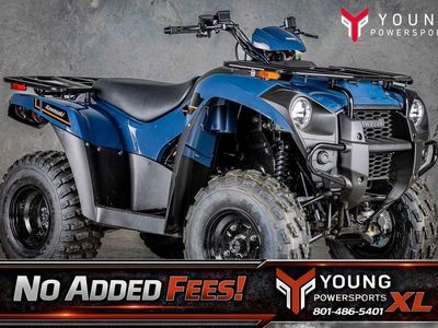 2025 Kawasaki Brute Force® 300
