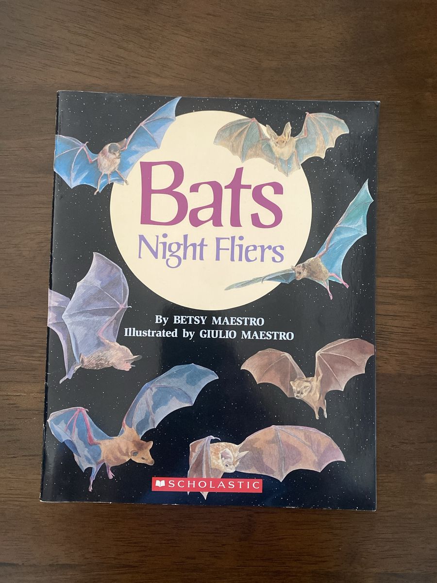 Bats Night Fliers