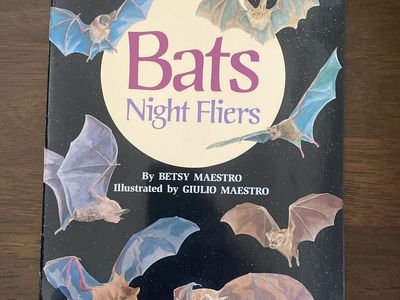 Bats Night Fliers