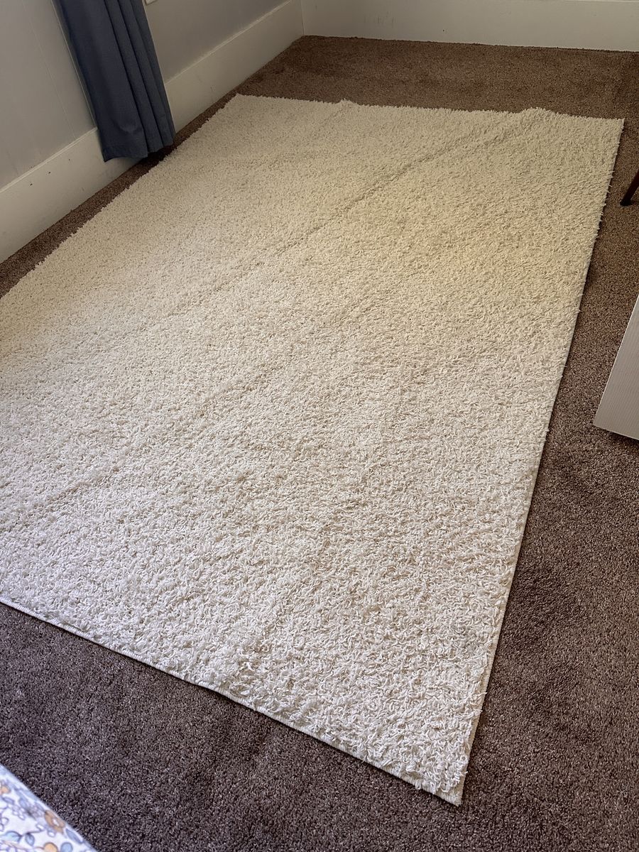 Cream Shag Area Rug - Soft & Plush - Excellent Condition