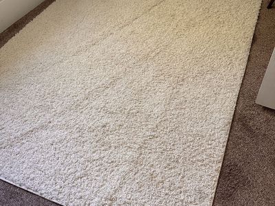 Cream Shag Area Rug - Soft & Plush - Excellent Condition