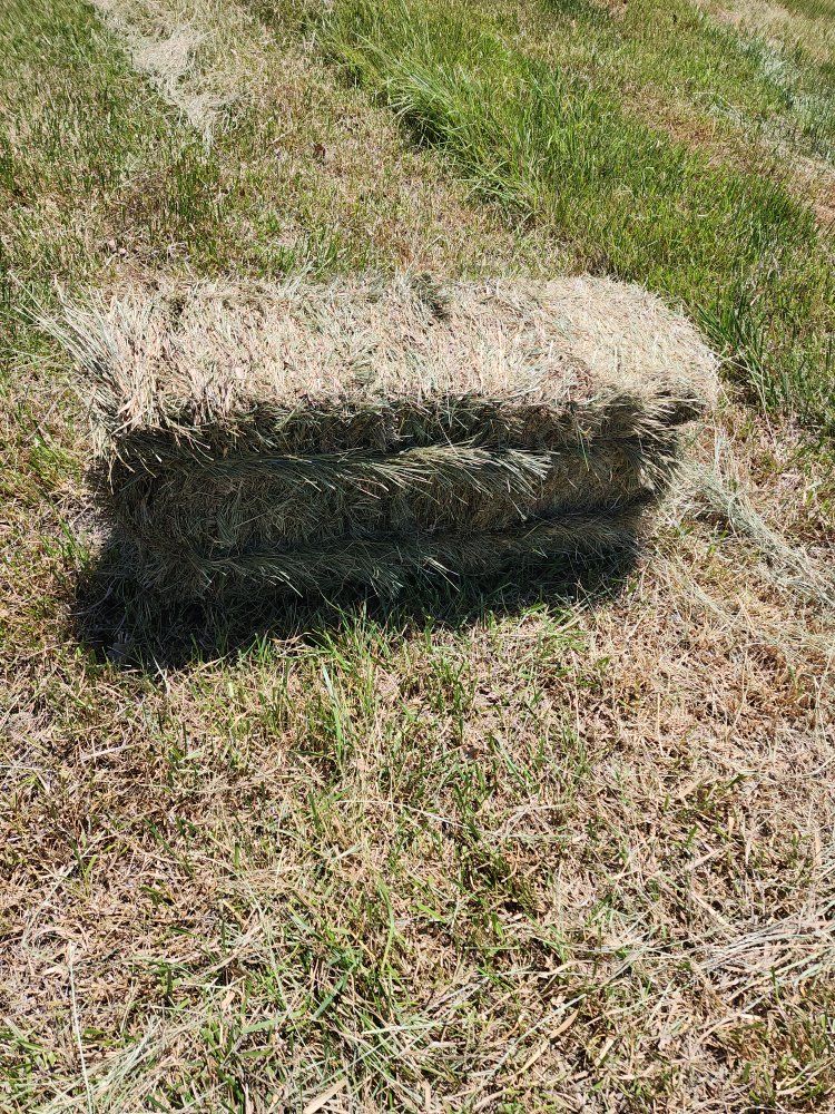 small bale grass hay