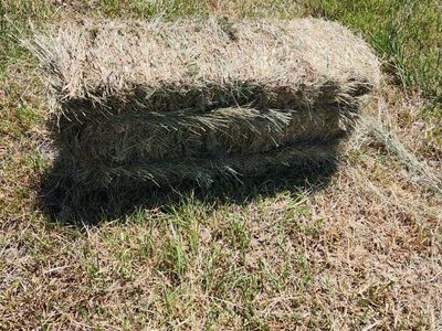 small bale grass hay