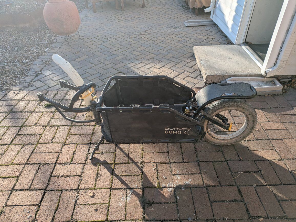 bike trailer Burley Coho