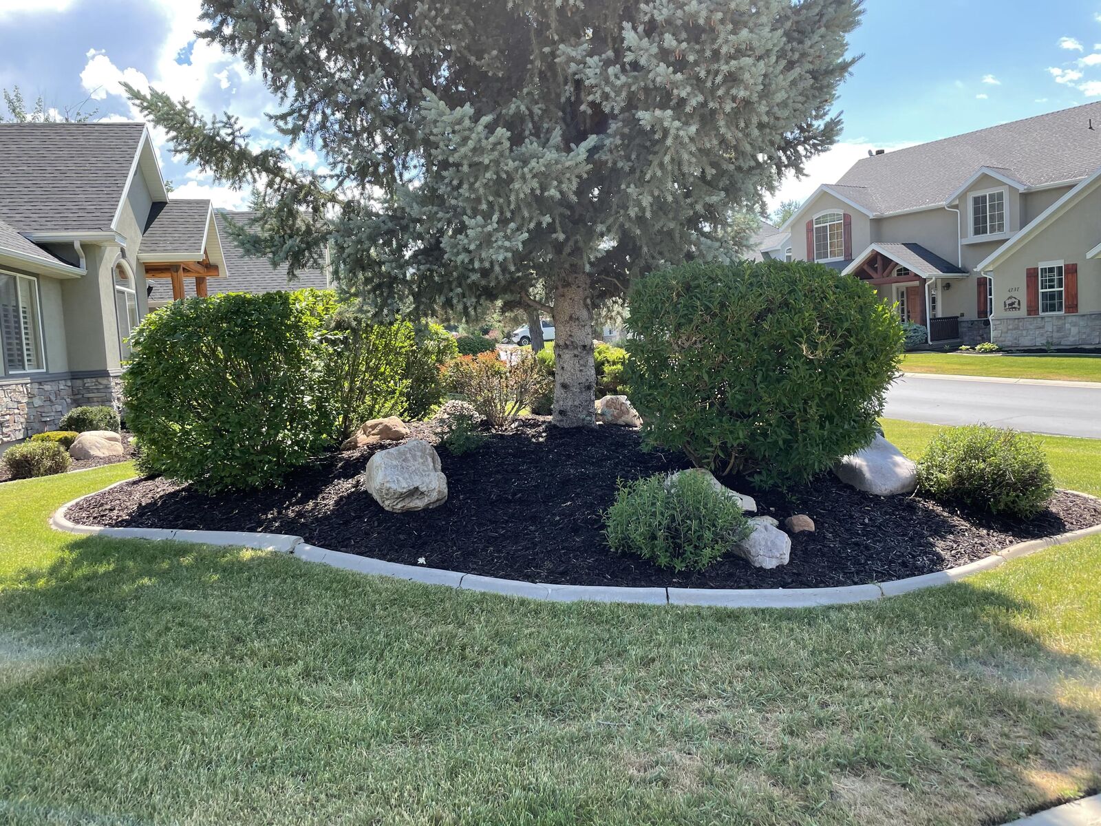 DeLa Cruz Landscape Services LLC