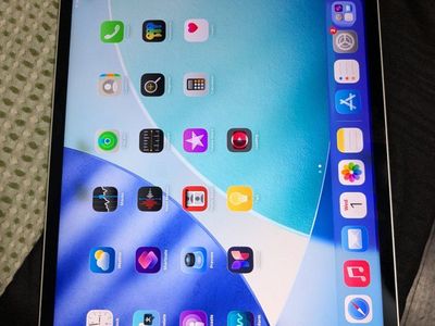 iPad pro 12.9 5th gen read