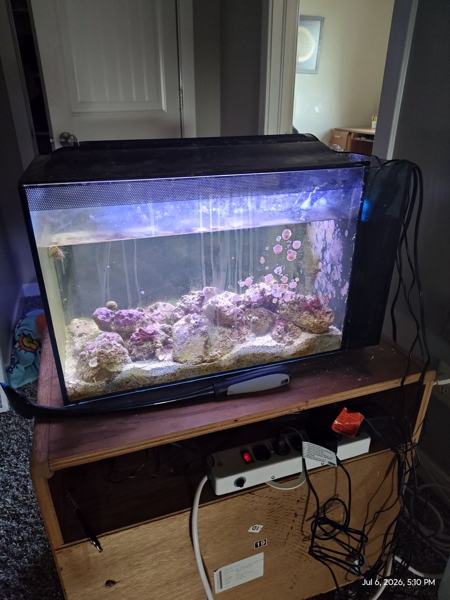 Saltwater Aquarium FREE