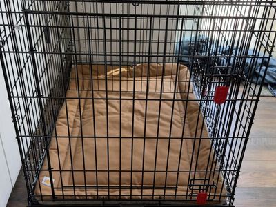 Like New KONG Brand Dog Crate with Carhartt Mat