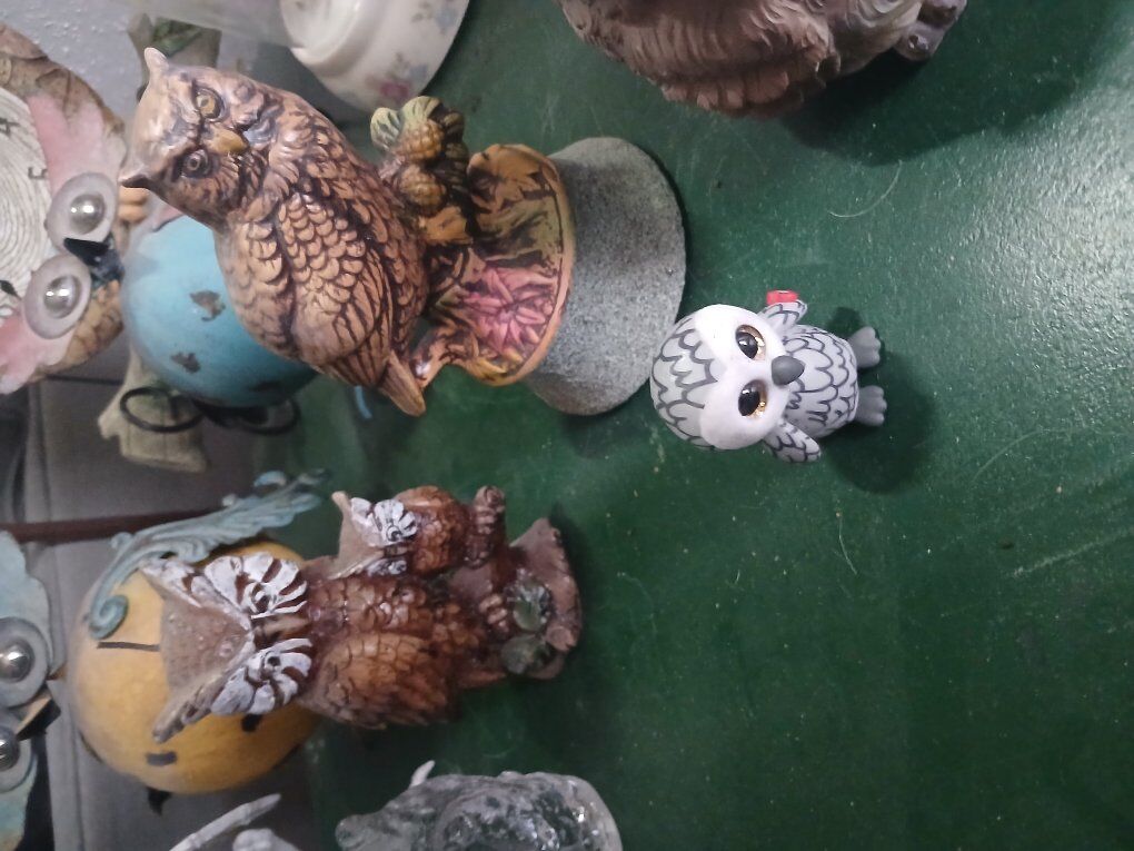 owl collection