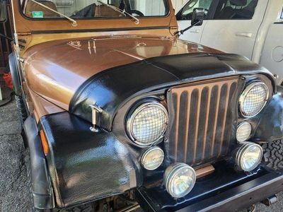 Cj5 Jeep 1980 , straight six, 258 Motor.