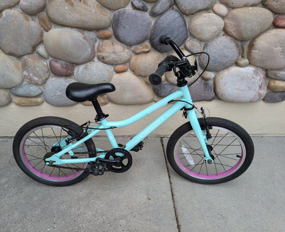 Guardian Ethos 16 inch Bike