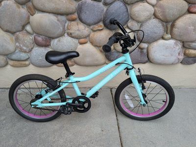 Guardian Ethos 16 inch Bike