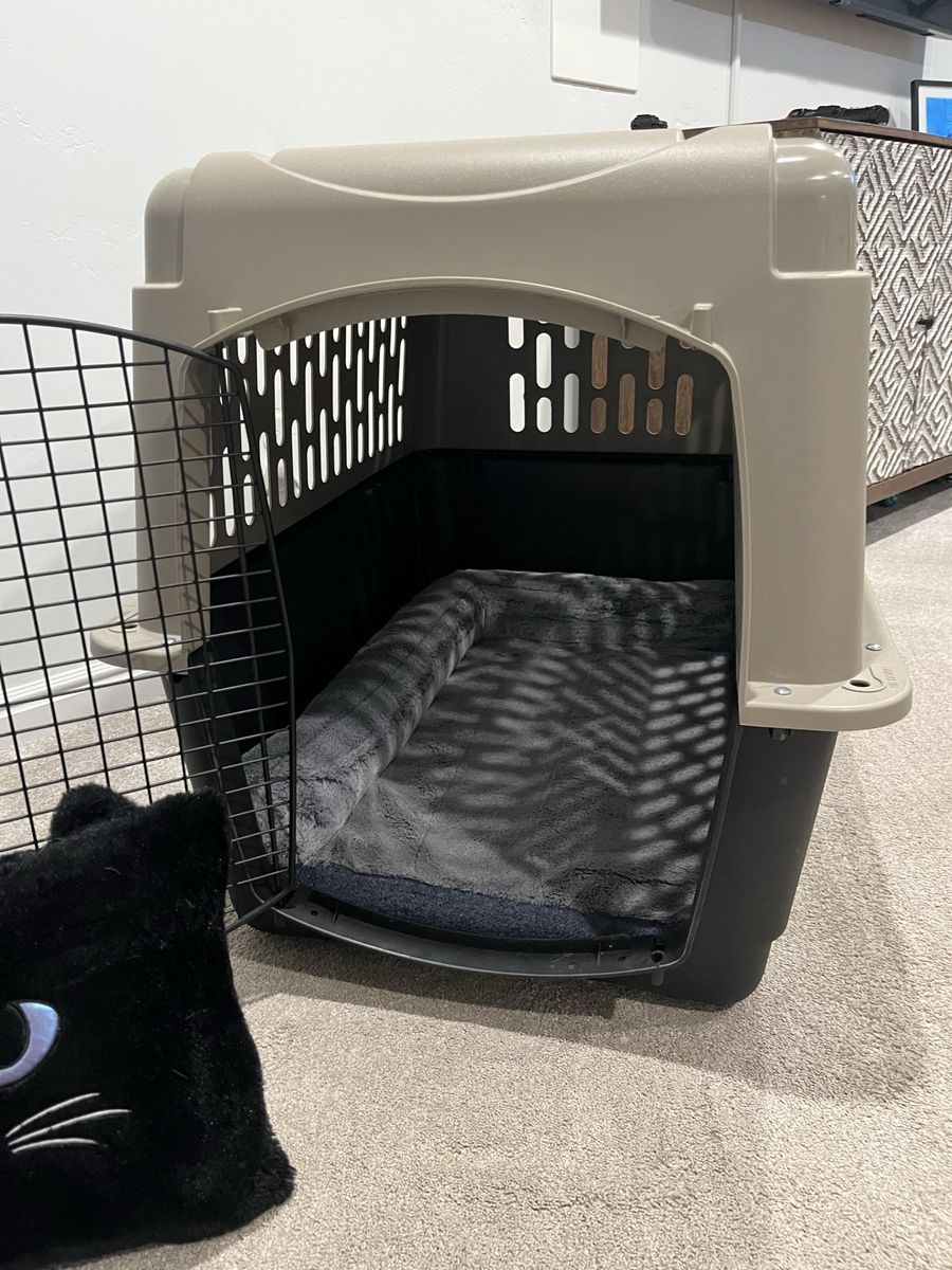 Top Paw 36” Large Dog Crate + Chill Kuzzi Bed – Like New