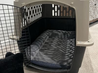 Top Paw 36” Large Dog Crate + Chill Kuzzi Bed – Like New