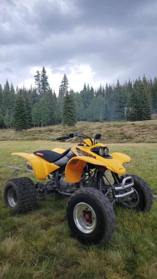 2001 440EX honda